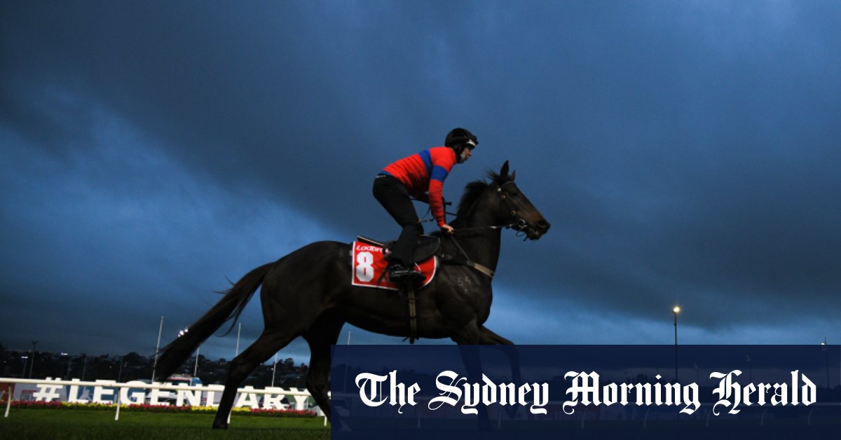 Does redemption song beckon for Verry Elleegant in Cox Plate?