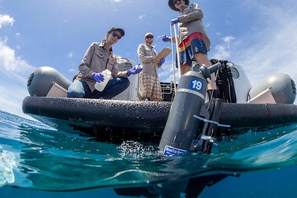 Scientists have mapped the DNA of Australia’s oceans. Their findings surprised even them.