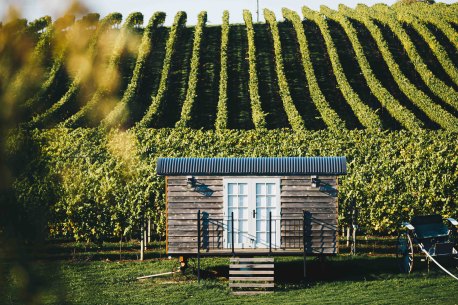 Eastford Creek Vineyard, Sassafras.