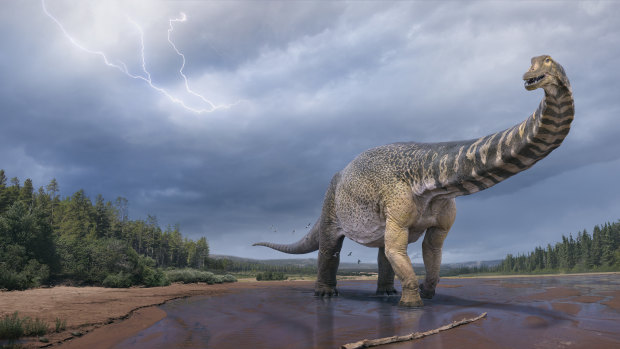 Discovery of Australia’s largest dinosaur to challenge America’s dino dominance
