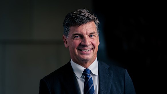Shadow treasurer Angus Taylor looms as a potential replacement for Peter Dutton. 