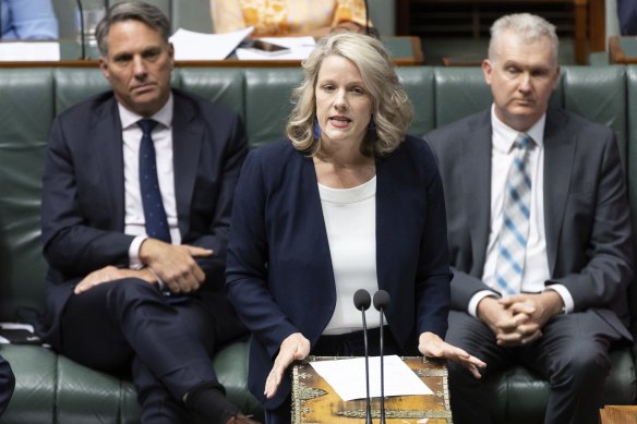 The Minister for Home Affairs and Cyber Security Clare O’Neil speaking in parliament today.