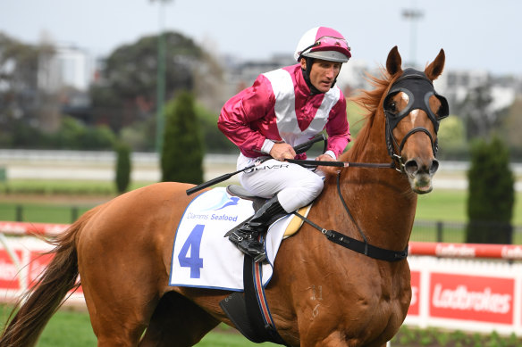 Superstorm earned a place in the Cox Plate with his win.