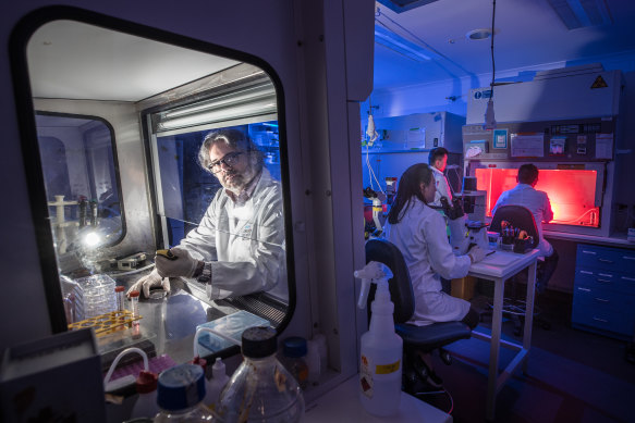 Jose Polo from Monash led the development of non-natural embryos for research.