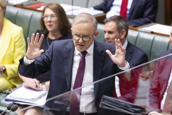 Prime Minister Anthony Albanese during question time in Canberra today. 