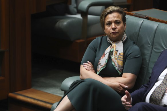 Michelle Rowland has strong backroom relationships. But they have not been enough to advance major parts of the government’s agenda that she is overseeing.