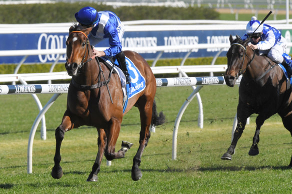 Libertini is set to prove her star quality against a raft of group 1 winners in the Light Fingers Stakes on Saturday.