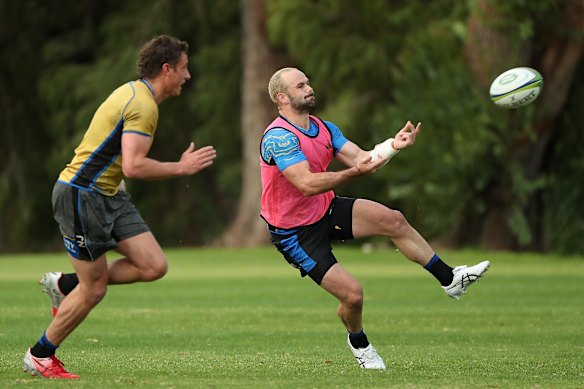 Five-eighth Jono Lance brings plenty of experience to the Western Force line-up.