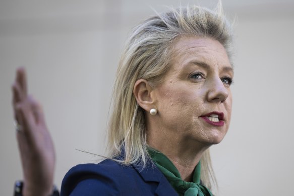 Nationals Senator Bridget McKenzie said her party’s united stance with the Greens might seem like an “odd alliance”.