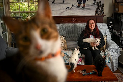 Safe now: Claire Brookes holds Emi, who was rescued in a colony of 28 cats in Collingwood, with rescue cat Zeek in the foreground.