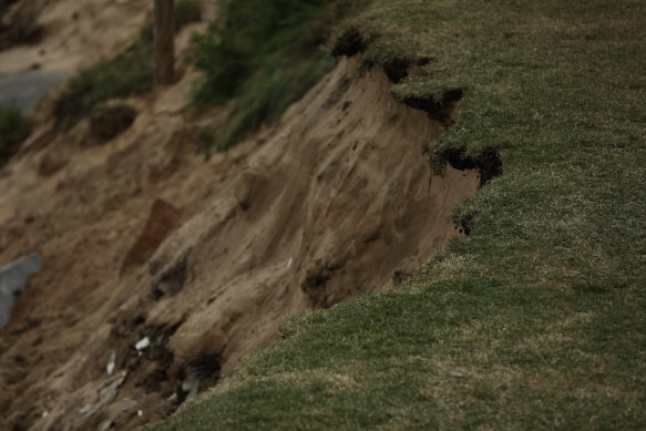 Gosford Council commissioned a series of reports and studies on the erosion in the 1990s.