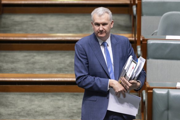 Tony Burke is the third Albanese government minister to speak out publicly about the way Palestinian Australians have felt since the Israel-Hamas war broke out.