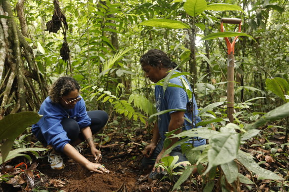 Guests of Intrepid Travel participate in tree-planting sessions with the Maleku people.