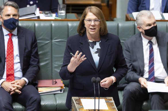 Infrastructure Minister Catherine King has signalled the budget will contain new rules around contentious grants programs in a bid to stamp out pork-barrelling.