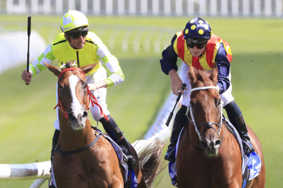 Eduardo (left) leaves Nature Strip in his wake in one of their clashes.