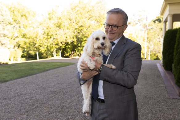 The PM brought out first dog Toto Albanese to do some of the diplomatic leg work for him.