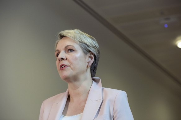 Opposition spokeswoman for women Tanya Plibersek.