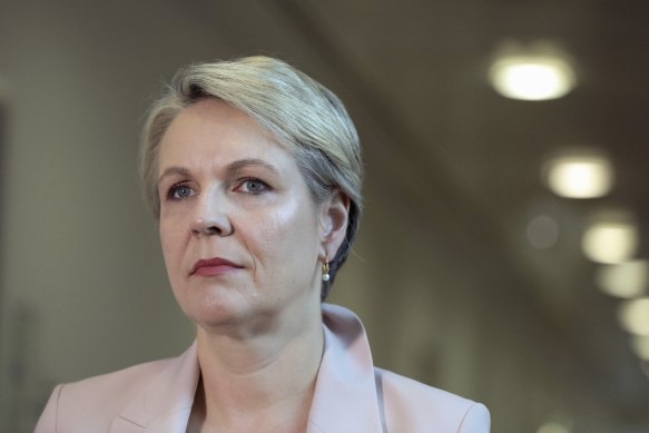 Labor MP Tanya Plibersek.