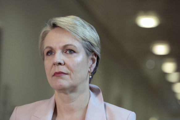 Labor’s spokesperson for women, Tanya Plibersek, is named as having donated to the fundraiser.