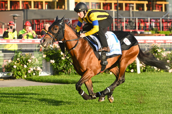 Damian Lane will ride favourite Prognosis from Japan in the Cox Plate.