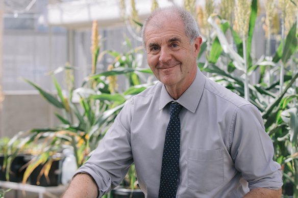 Professor David Craik works at the University of Queensland and is the director of the ARC Centre of Excellence in Peptide and Protein Science.