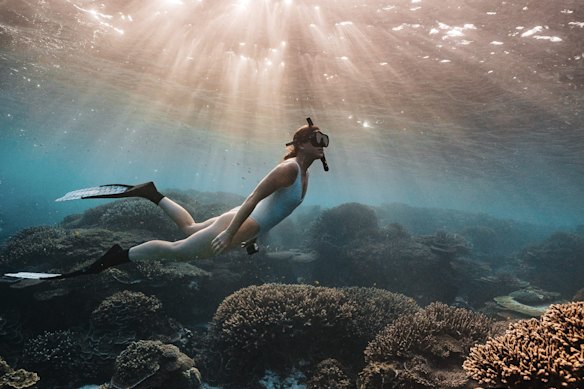 Snorkelling off Lady Elliot Island.