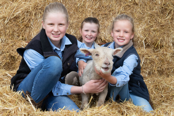 Imogen, Lexi and Emma Thomas at their farm near Hamilton with Tiny the lamb.