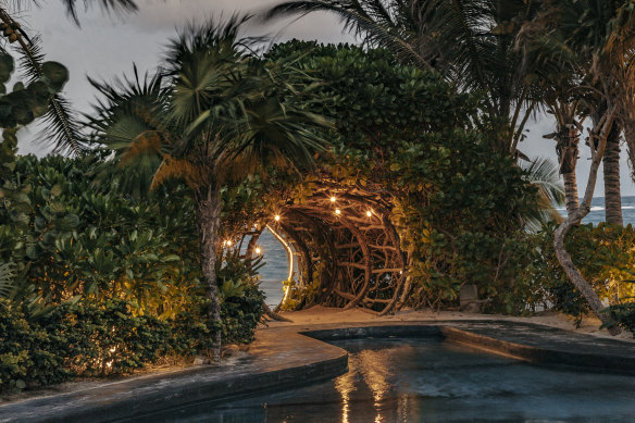 Living art … the canopy feature has been fashioned from branches into the shape of a camera lens.