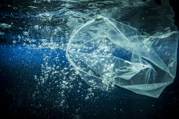 NSW is the last place in the country thin plastic bags are still used.