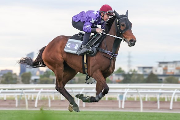 Cox Plate 2026: Expert analysis, field guide and best bets for Saturday ...