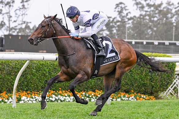 Istolea Merc will return to the track on Monday after a seven-month hiatus.