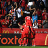 Adelaide United cruise to win over blue Victory