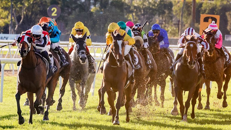 Race-by-race Preview and Tips for Hawkesbury on Thursday