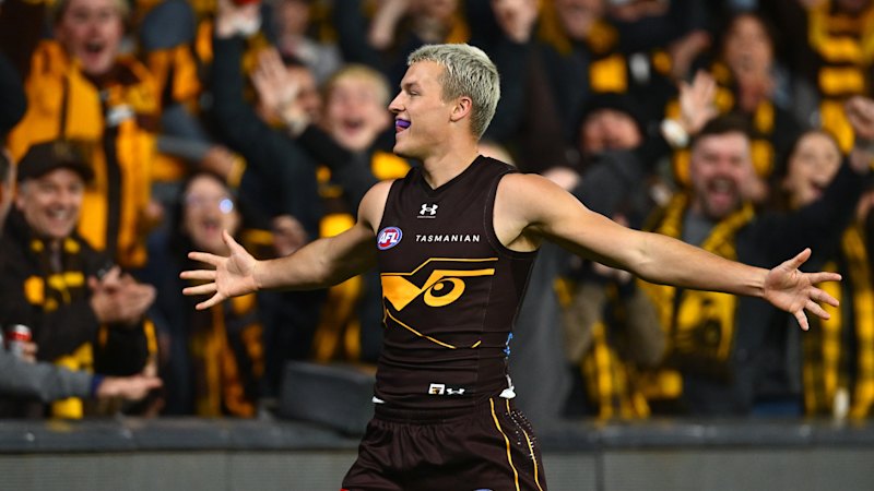 Adding injury to insult: Hollywood Hawks soar to victory, Bulldogs star suffers huge injury scare late