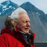 Sir David Attenborough is one of the most beloved environmentalists in history. It’s no wonder he’s being showered with praise on his centenary.