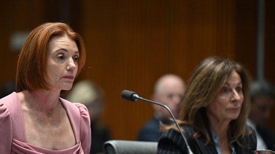 Eileen Hoggett giving evidence before a parliamentary committee on June 19.