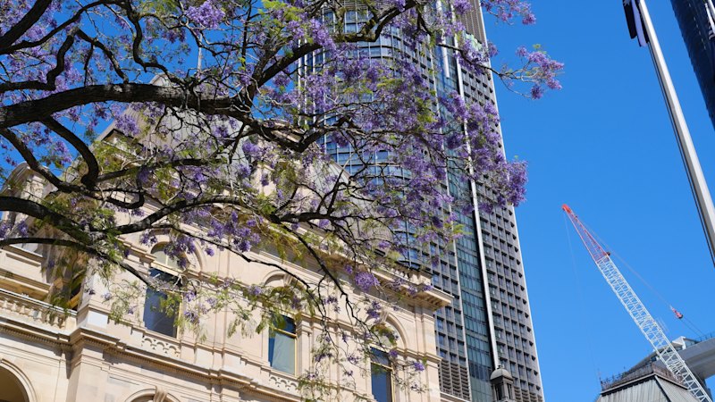 Queensland ministers update parliament on education, arts, women and child safety spending