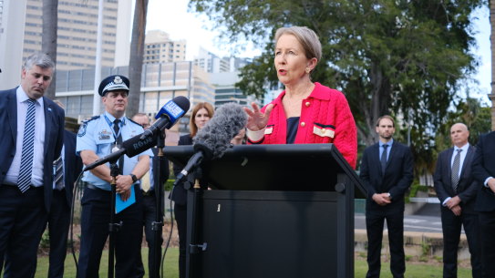 Youth Justice Minister Di Farmer has pointed to a parliamentary committee only convened in October as a reason for delays with the strategy.