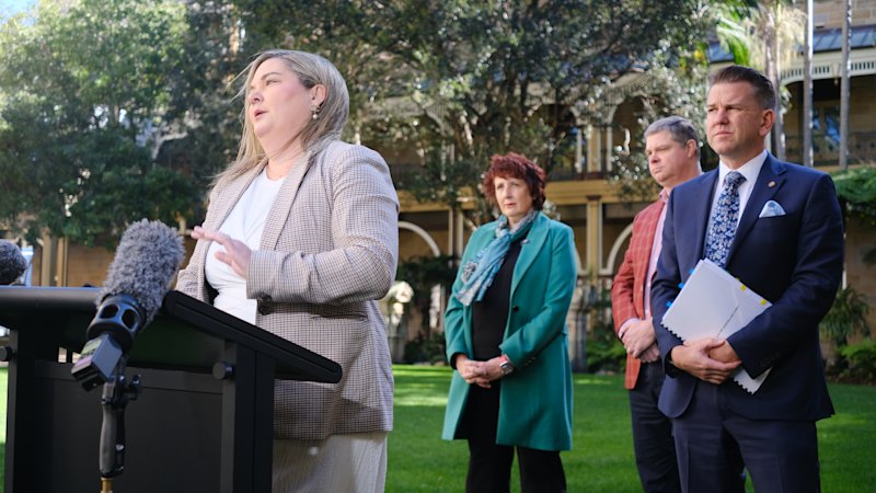 Bleijie lays groundwork for deeper public inquiry into state CFMEU