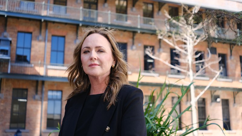 Ministers ‘deflecting responsibility’ over forced adoption detail fix