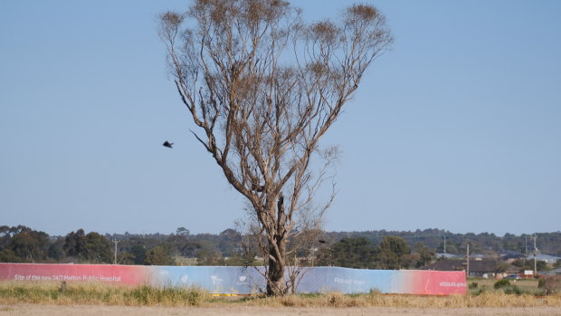 Melton’s new hospital hasn’t even been built, but it’s already too small