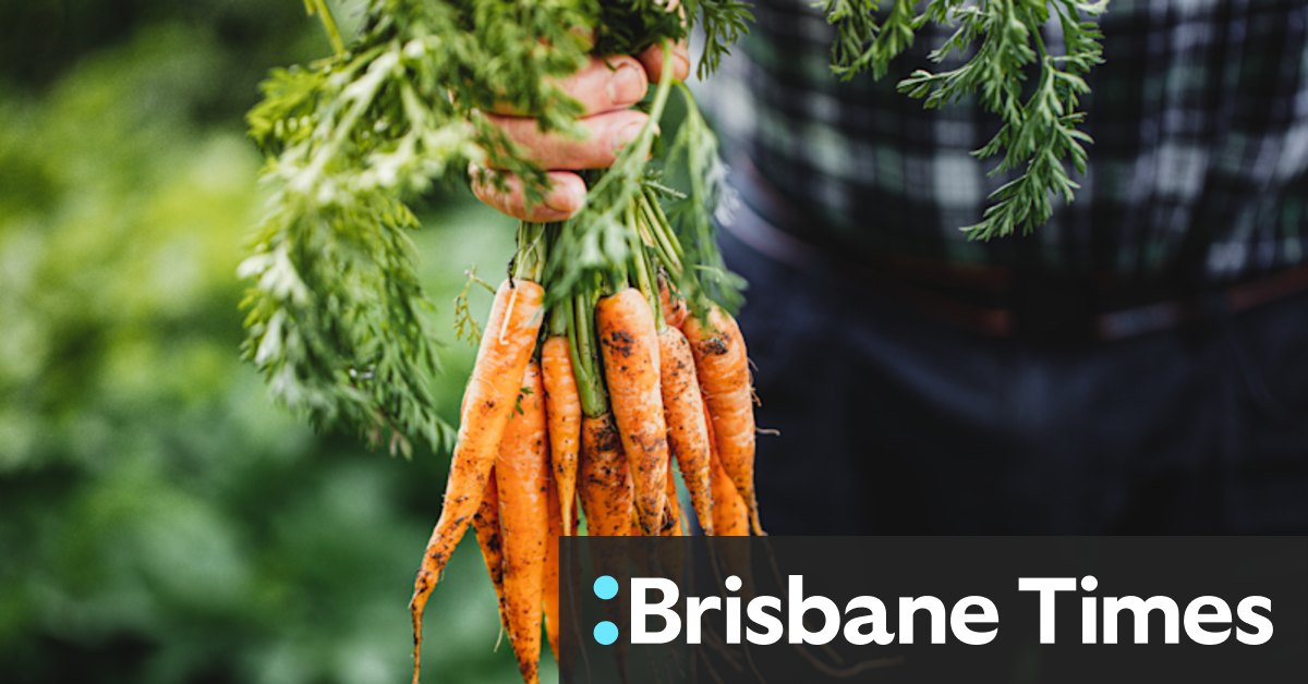 In the grip of glut? Grow like a seasoned gardener - Vimarsana News