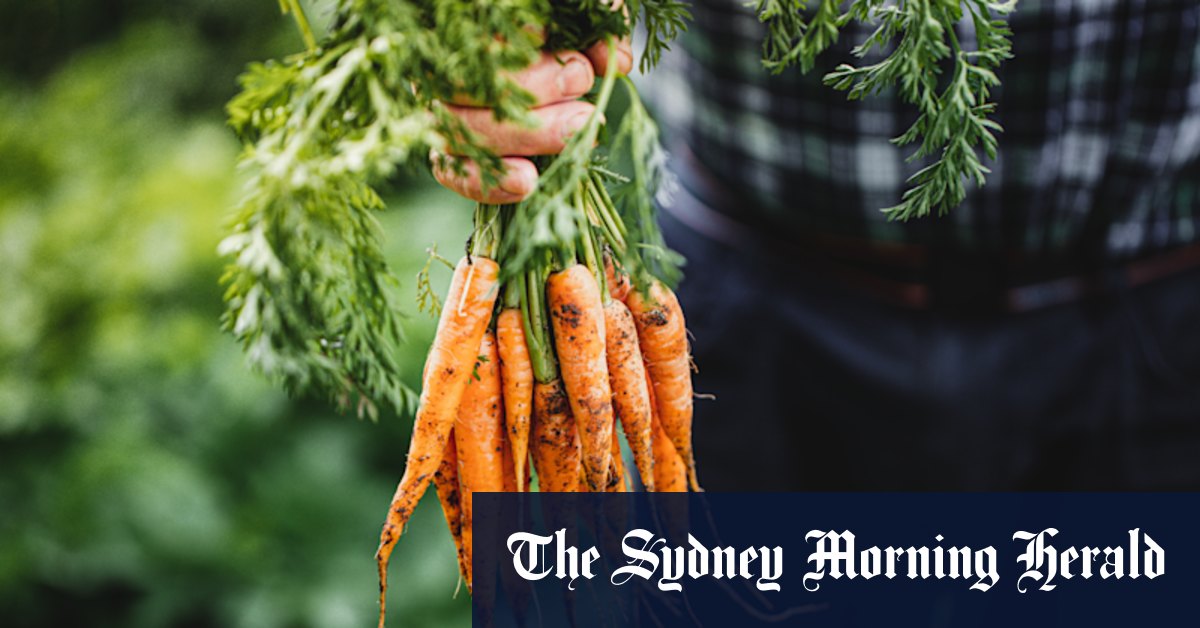 In the grip of glut? Grow like a seasoned gardener - Vimarsana News