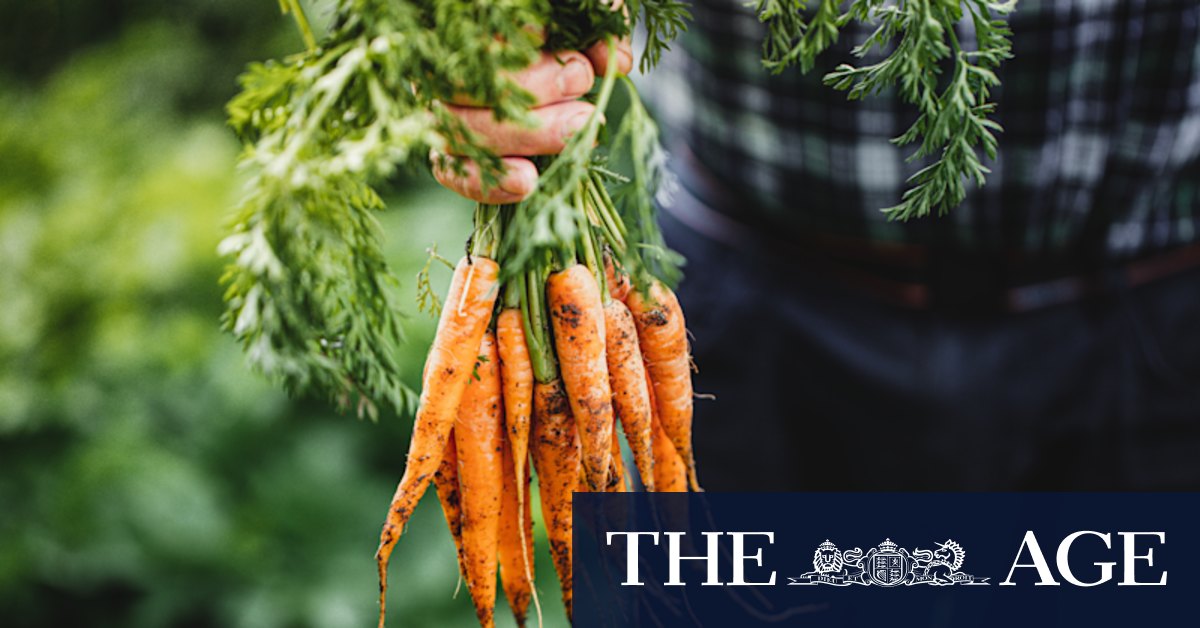 In the grip of glut? Grow like a seasoned gardener - Vimarsana News
