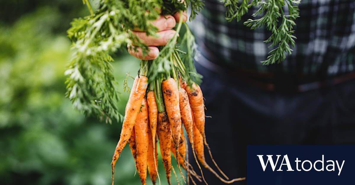 In the grip of glut? Grow like a seasoned gardener - Vimarsana News