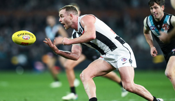 Tom Mitchell has slotted seamlessly into Collingwood’s midfield.