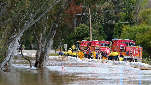 Firefighters and defence force personnel build a sandbag wall along Campaspe Esplanade in Echuca West.