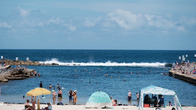 The protected Clovelly beach is more like a large ocean pool than a beach, with no waves breaking on the sand entrance to the water. 