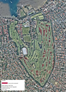 The Royal Sydney Golf Club development application to modernise its golf course, and remove trees marked in red, has attracted ferocious opposition. 