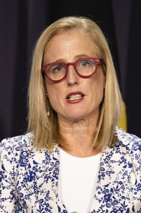 Finance Minister Katy Gallagher says the Coalition opened the floodgates to the private sector. 